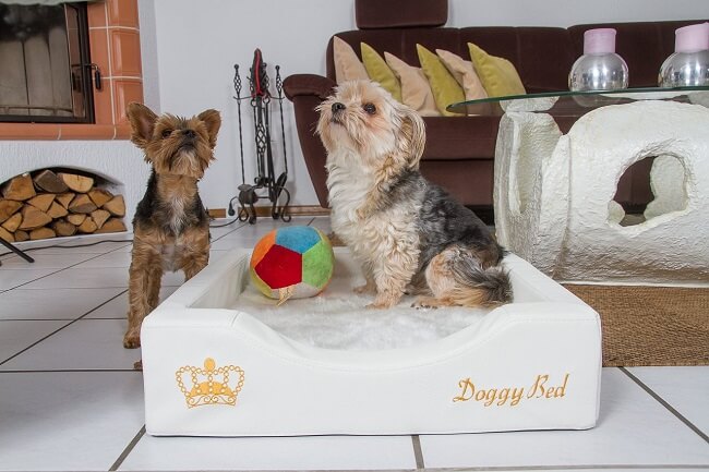 Kleine Hundebetten pflegeleicht, orthopädisch